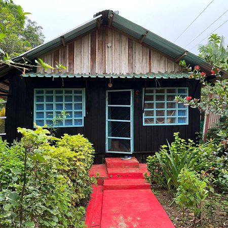 Flor De La Selva Apartment Puerto Narino ภายนอก รูปภาพ