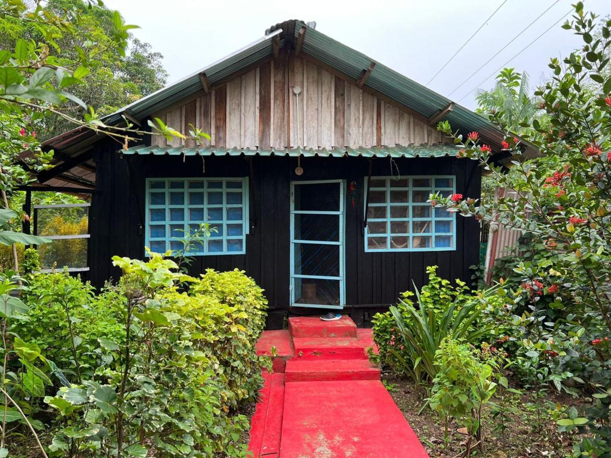 Flor De La Selva Apartment Puerto Narino ภายนอก รูปภาพ