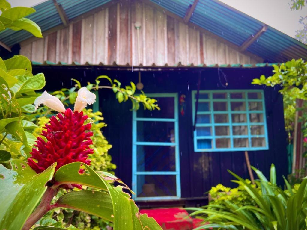 Flor De La Selva Apartment Puerto Narino ภายนอก รูปภาพ