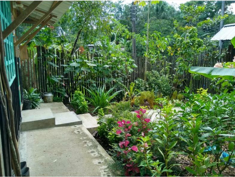 Flor De La Selva Apartment Puerto Narino ภายนอก รูปภาพ